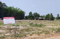 Tây Ninh: Xử nghiêm lãnh đạo buông lỏng quản lý đất đai