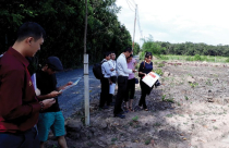Tràn lan dự án bánh vẽ khu vực phía Nam