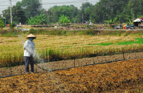 HoREA kiến nghị xem xét diện tích tối thiểu được tách thửa