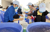 Quảng Ninh sắp có khu nông nghiệp công nghệ cao trị giá hơn 800 tỉ đồng