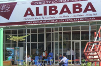 Luật trễ và sự tùy tiện