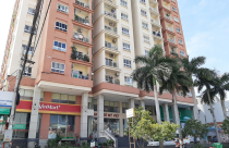 Nghệ An: Trao tay “đất vàng”, ngỡ ngàng sang tên đổi chủ