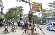 Quản lý trật tự đô thị dịp cuối năm: Vẫn loay hoay giữa lý và tình