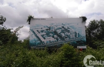 Đồng Nai: Xử lý 136 trường hợp hết hạn sử dụng đất