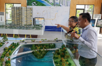 Đầu năm giao dịch nhà, đất liên tục giảm