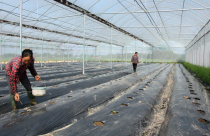 Phát triển bất động sản nông nghiệp nhìn từ thế giới