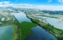 Thị trường bất động sản Quảng Nam - Đà Nẵng: “Bắt đáy” cơ hội đầu tư trong thời Covid-19