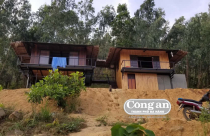 Xử lý vụ doanh nghiệp bạt núi làm nhà trong rừng đặc dụng