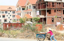 Bán đất trồng cây lâu năm