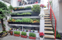 Cách chống nóng ở chung cư có ban công hướng Tây