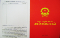 Xử phạt khi chậm trễ đăng ký biến động quyền sử dụng đất
