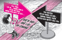 Tư vấn giải quyết tranh chấp lối đi chung