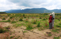 Tư vấn chuyển đổi mục đích sử dụng đất