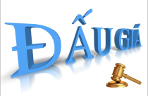 Mua đất thông qua đấu giá