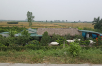 Xây dựng nhà tạm trên đất nông nghiệp được không?