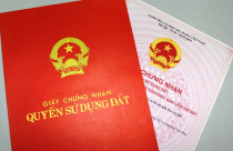 Hỏi về chuyển nhượng quyền sử dụng đất