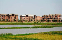 Chuyển mục đích sử dụng đất ao sang đất lúa?