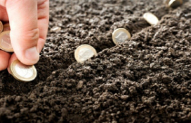 Miễn, giảm tiền sử dụng đất cho thân nhân liệt sĩ