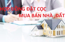 Hướng dẫn chi tiết ghi Hợp đồng đặt cọc mua bán nhà, đất
