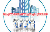 Phải làm gì khi Chủ đầu tư không bàn giao phí bảo trì cho Ban quản trị nhà chung cư?