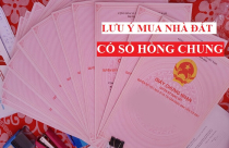 Những lưu ý khi mua bán nhà đất có sổ hồng chung