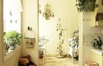 Tường nhà không nấm mốc