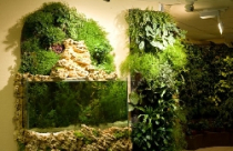 Duyên dáng… “vườn treo” 