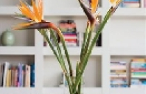 Bí quyết cắm bình hoa đẹp 