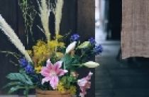 Chưng hoa theo phong thủy 