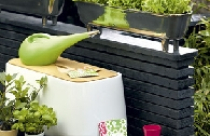 Khu vườn rộng cho nhà hẹp