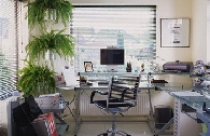 Phong thuỷ với doanh nghiệp 