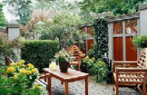 Vườn cây thẳng đứng dành cho không gian hẹp 