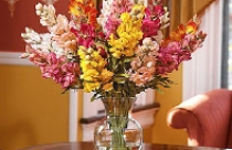 6 ý tưởng trang trí nhà bằng hoa giả 