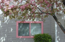 Có thể bạn chưa biết về Cửa sổ 