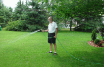 Chăm sóc cây cảnh và bãi cỏ trước khi đông tới 