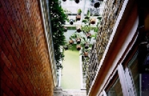 Mượn mái làm vườn