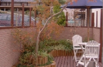 Nghệ thuật làm vườn từ gỗ