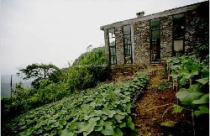 Nhà ven sườn Tam Đảo của một người Việt trên báo Mỹ