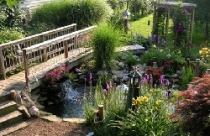 Ao nhỏ trong nhà vườn