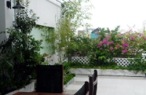 Trang trí vườn cảnh trong nhà phố 