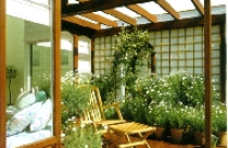 Không gian xanh trên sân thượng 