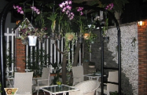 Gạch đá,gạch gốm-nhân tố chính tạo lên nét đẹp của cafe sân vườn 