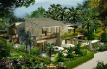 Phong thủy cho cây xanh trong biệt thự nhà vườn 