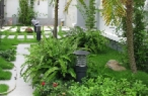 Góc vườn êm dịu 