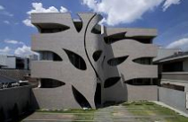 Biệt thự lá cây tại Nhật Bản