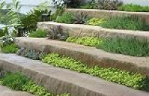 Đường dạo (tt)