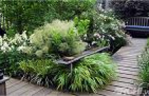 Patio sinh động hơn nhờ cây xanh 