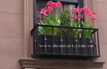 Tạo ấn tượng ngay từ mặt tiền nhà