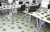 10 điều không nên trong phong thuỷ văn phòng 