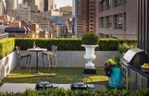 Vườn trong căn hộ ở thành phố